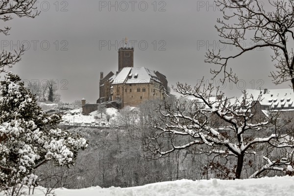 Snowy castle with bare trees in the foreground, wintry atmosphere, The Wartburg near Eisenach in Thuringia