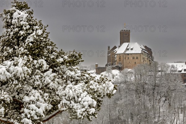 Snowy castle in winter landscape surrounded by snow-covered trees under grey sky, The Wartburg near Eisenach in Thuringia