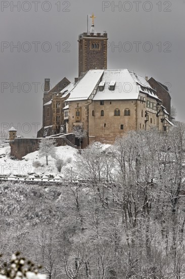 Close-up of a castle in winter, snow-covered trees in the foreground, The Wartburg near Eisenach in Thuringia