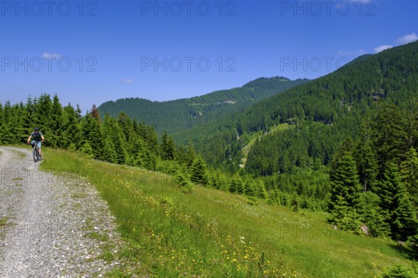 On the Stubental Alpe, under the Pfeiferberg, near Jungholz, Oberallgäu, Allgäu, Tyrol, Austria
