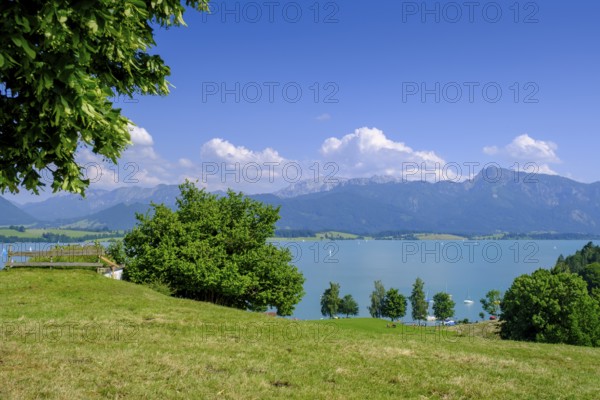 Forggensee bei Dietringen, Ostallgäu, Swabia, Bavaria, Germany
