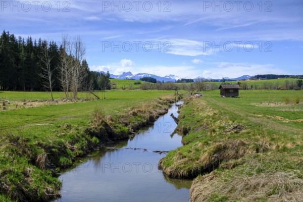 Geltnach bei Bertoldshofen, Ostallgäu, Swabia, Bavaria, Germany