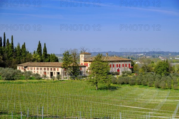 View from San Martino della Battaglia, Colli Mantovani Lombardy, Province of Brescia, Italy