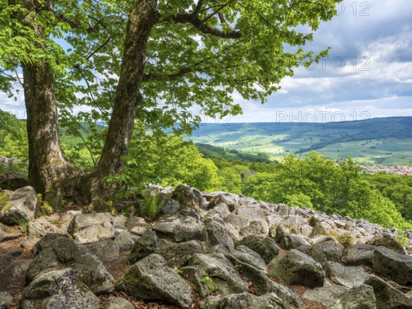 Blockheap on the Schafstein, former rock glacier, view over the Rhön countryside, Hessian Rhön, Gersfeld, Hesse, Germany