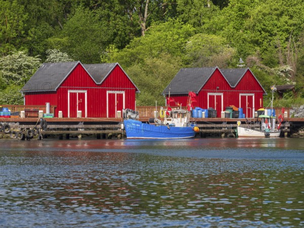 Small red huts and fishing boats in Boltenhagen fishing port, Baltic resort Boltenhagen, Mecklenburg-Western Pomerania, Germany