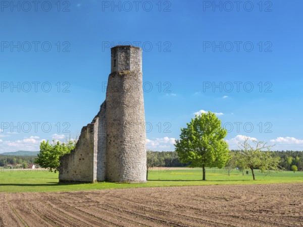 The ruins of the Circle Chapel, also Circle Chapel, church ruins near Dentlein am Forst, Middle Franconia, Bavaria Germany