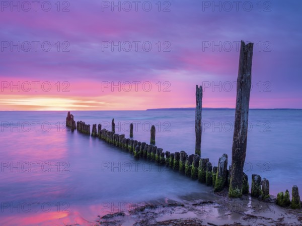 Sunrise on the Baltic Sea beach with old grouse at the Baltic Sea resort of Breege-Juliusruh, Wittow Peninsula, Rügen Island, Mecklenburg-Western Pomerania, Germany