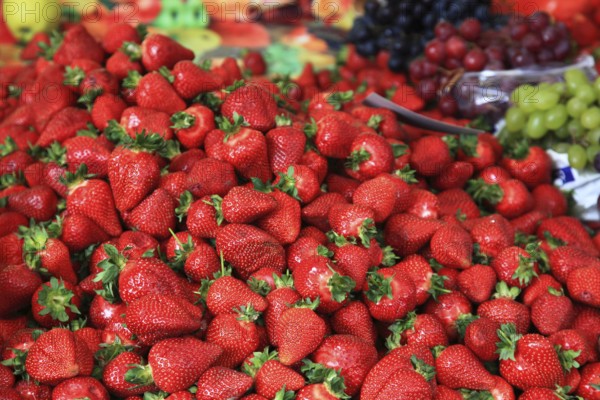 Ripe strawberries at the weekly market market in the old town of Sibiu, Sibiu, in Transylvania, Romania