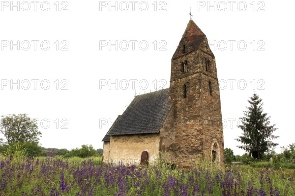 Strei Church, former village of Strei is now part of the industrial town of Calan, Hunedora County, Transylvania, one of the oldest and most valuable monuments in Romania, Romania