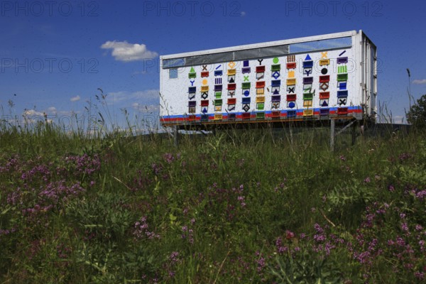 Mobile beekeeper's bee truck, Transylvania, Romania