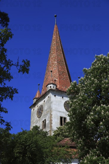 Fortified church in Großschenk, Cincu, an important fortified church of the Transylvanian Saxons in the district of Brasov, Transylvania, Romania