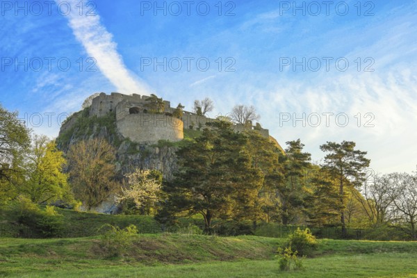 Hohentwiel Castle Ruins Surrounded by Green Trees and Meadow with Clear Blue Sky, Volcanic Landscape, Hohentwiel Castle Ruins, Singen, Hegau, Konstanz District, Baden-Württemberg, Germany