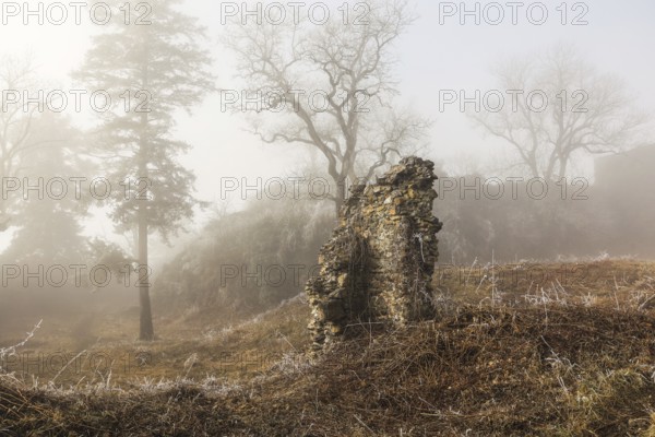 Fog-shrouded ruins in a wintry landscape with bare trees, Mägdeberg castle ruins, volcanic landscape, Hegau, Mühlhausen-Ehingen, district of Konstanz, Baden-Württemberg, Germany