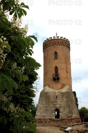 Part of the princely court with the Chindia Tower, in Targoviste, once the residence of Wallachian princes, including Vlad III Dracula, better known as Vlad the Impaler, Wallachia region, Romania