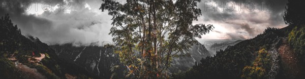 Intense mountain panorama in dramatic colors with a central tree and dramatic sky, a hiker on a path in the distance, hiking in the High Tatras National Park, Carpathian Mountains, Poland