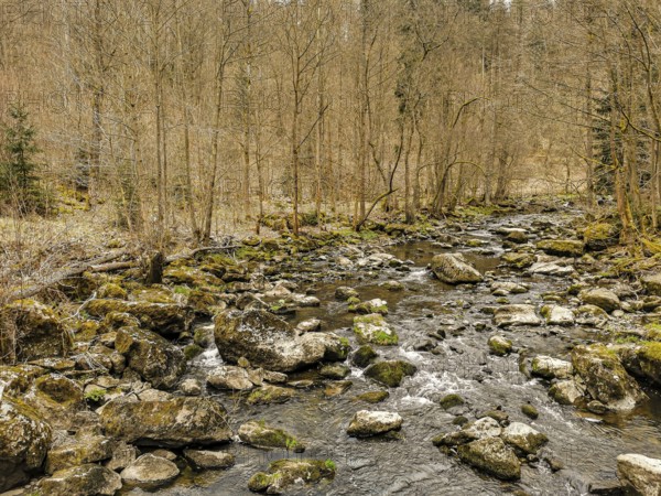 A small river, Selbitz flows through an autumn forest over stones and moss, Höllental, Frankenwald nature park Park