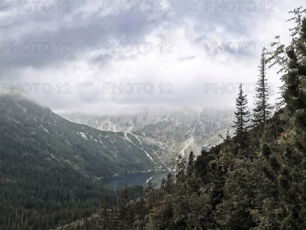 Misty mountain valley with lake and dense forest landscape under a cloudy atmosphere, hiking in the High Tatras National Park, Carpathian Mountains, Poland