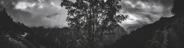 Dramatic black and white mountain landscape, panorama with central tree and threatening clouds, a hiker on a path in the distance, hiking in the High Tatras National Park, Carpathian Mountains, Poland