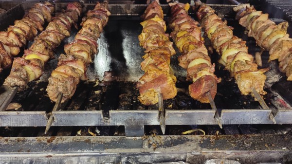 Close-up of grilled meat skewers, shish kebab over a hot grill, Zakopane, hiking in the High Tatras National Park, Carpathian Mountains, Poland