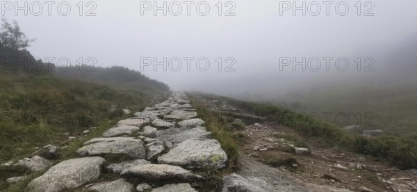 Rocky trail through foggy mountain meadow, Zakopane, hiking to Kasprowy Wierch in the High Tatras National Park, Carpathian Mountains, Poland