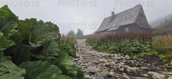 Rustic cabin on a rocky path in foggy landscape, Zakopane, hiking to Kasprowy Wierch in the High Tatras National Park, Carpathian Mountains, Poland