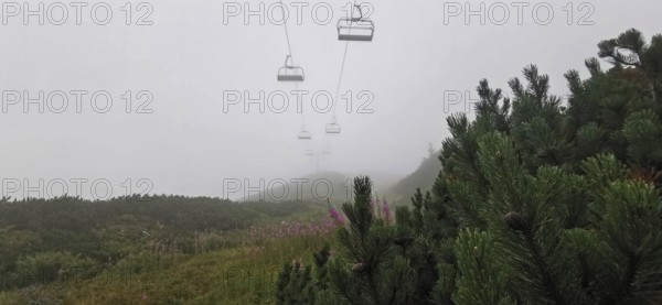 Misty mountain landscape with cable car and pine trees (pinus), Zakopane, hike to Kasprowy Wierch in the High Tatras National Park, Carpathians, Poland