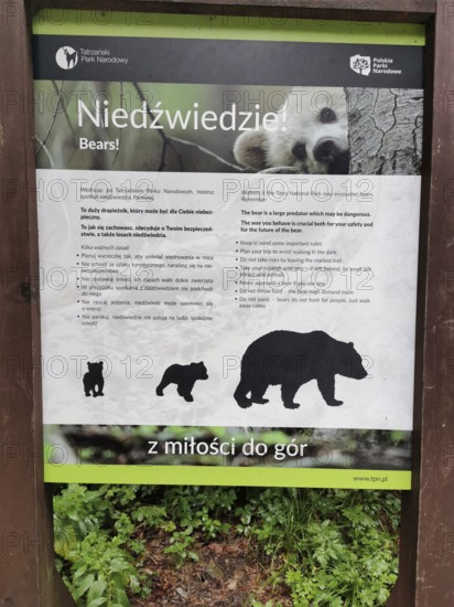 Informative sign in Tatra National Park about bear watching with instructions, Zakopane, hiking in the High Tatras National Park, Carpathian Mountains, Poland
