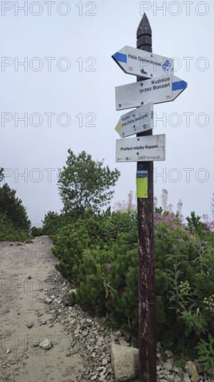 Signed hiking trail, signpost through wooded mountain landscape in fog, Zakopane, hiking in the High Tatras National Park, Carpathian Mountains, Poland