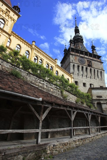Romania, hour tower in the historic old town of Sighisoara, German Sighisoara, town in Mures district in Transylvania, UNESCO World Heritage Site