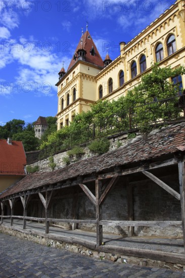 Romania, cultural house in the historic old town of Sighisoara, German Sighisoara, town in Mures district in Transylvania, UNESCO World Heritage Site