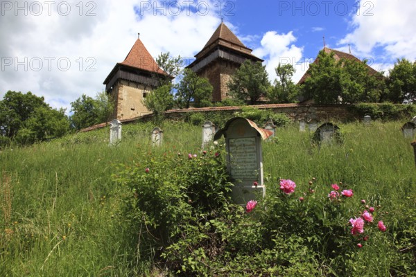 Romania, the fortified church and cemetery of Viscri, German German Weisskirch a town in the district of Brasov, Transylvania, UNESCO World Heritage Site