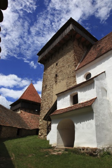 Romania, in the courtyard of the fortified church of Viscri, German German Weisskirch a town in the district of Brasov, Transylvania, UNESCO World Heritage Site