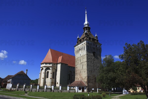 Romania, the church tower and church of Saschiz, German Keisd, a community in Mures County, Transylvania, Unesco
