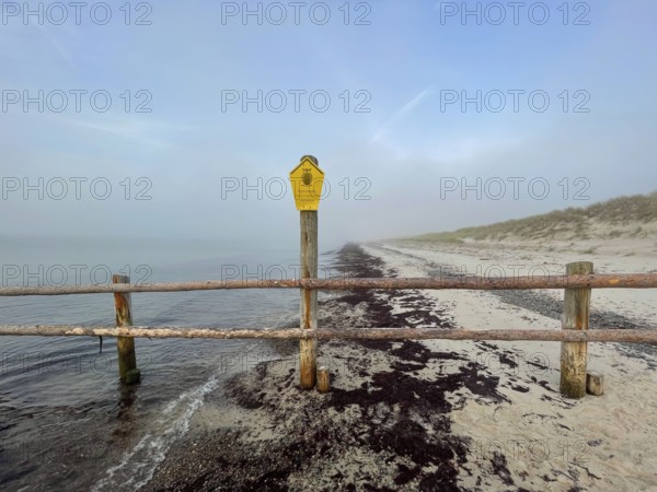 National Park core zone: No entry is allowed. Beach in the Western Pomerania Lagoon Area National Park, Darss-Zingster Bodden Range, Baltic Sea, Peninsula, Nature, Autumn, Nature Reserve, Fischland-Darß-Zingst, Mecklenburg-Western Pomerania, Germany