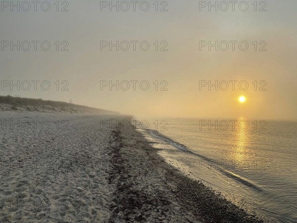 Sunset, fog on the beach in the Western Pomerania Lagoon Area National Park, Darss-Zingster Bodden Range, Baltic Sea, peninsula, nature, autumn, nature reserve, Fischland-Darß-Zingst, Mecklenburg-Western Pomerania, Germany