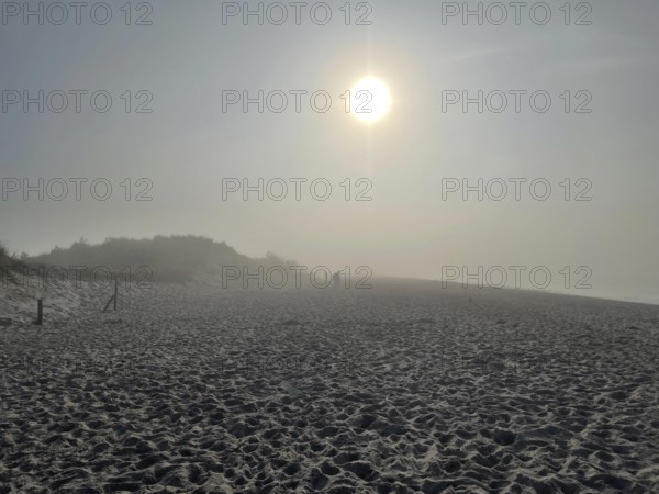 Fog on the beach in the Western Pomerania Lagoon Area National Park, Darss-Zingster Boddenkette, Baltic Sea, peninsula, nature, autumn, nature reserve, Fischland-Darß-Zingst, Mecklenburg-Western Pomerania, Germany