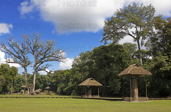 Quirigua Archaeological Park, pre-Columbian Mayan city in the jungle or jungle, Izabal Department, Guatemala
