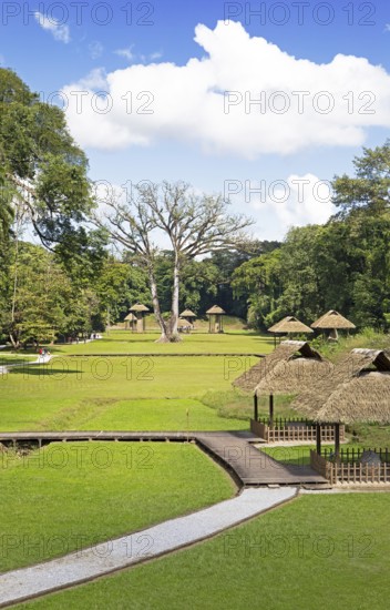 Quirigua Archaeological Park, pre-Columbian Mayan city in the jungle or jungle, Izabal Department, Guatemala