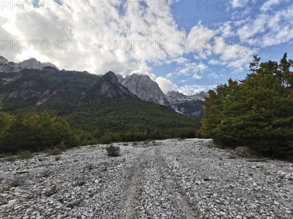 Rocky path leads through a flat riverbed towards wooded mountains, Peaks of the Balkans, hiking in the Albanian Alps National Park, Albania