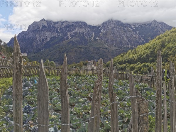 Small vegetable garden surrounded by fences, with mountain views and thick clouds, Peaks of the Balkans, hiking in the Albanian Alps National Park, Albania