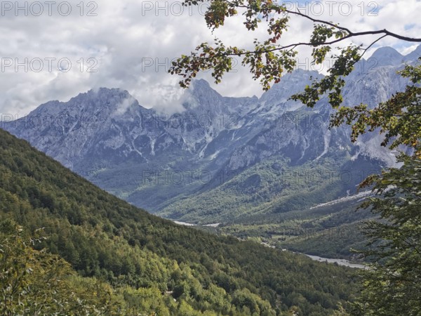 Panorama of a mountain range with forests and few clouds in the sky, Peaks of the Balkans, hiking in the Albanian Alps National Park, Albania