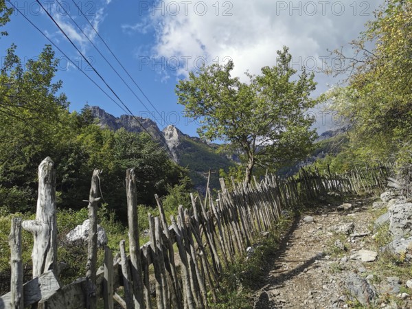 Rustic wooden fence along a trail through wooded area with mountain scenery, Peaks of the Balkans, hiking in the Albanian Alps National Park, Albania