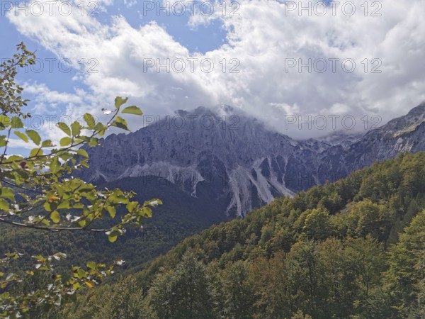 Cloudy mountain peaks with autumn leaves in the foreground under cloudy sky, Peaks of the Balkans, hiking in the Albanian Alps National Park, Albania