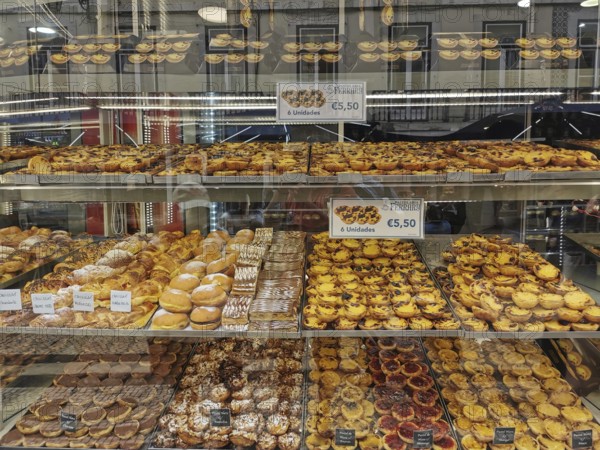 Bakery display cabinet with a variety of pastries, including Pastel de Nata, Lisbon, Portugal