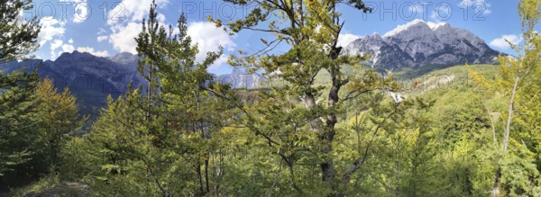 Panoramic view of wooded mountains under a clear blue sky, lush vegetation in the foreground, peaks of the Balkans, hiking in the Albanian Alps National Park, Albania