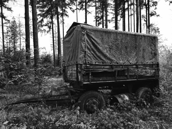 Abandoned wagon in the forest, surrounded by trees, monochrome, Frankenwald nature park Park