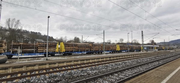 A goods train loaded with spruce trunks (picea) stands at a railway station under a cloudy sky, Franconian Forest nature park Park