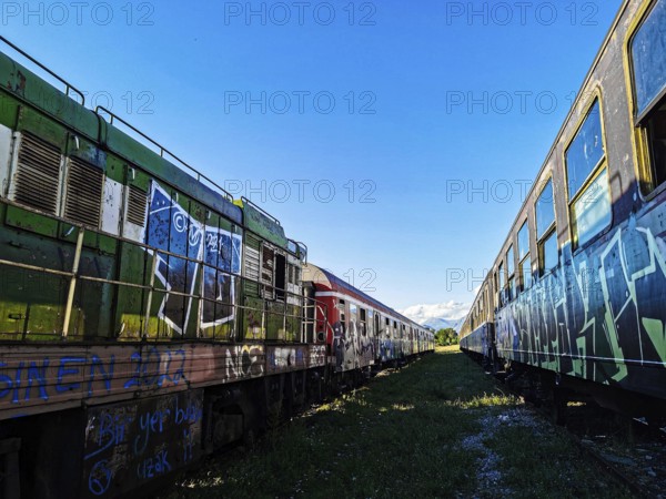 Two painted trains under a bright blue sky on abandoned tracks