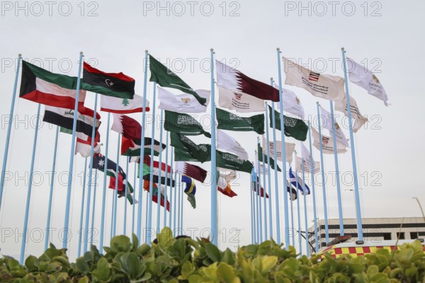 In Damascus, Syria on February 9, 2026, thousands of visitors flock to the Damascus International Book Fair, marking the first major large-scale cultural event in the country following the fall of the Assad regime, Damascus, Damascus, Syria