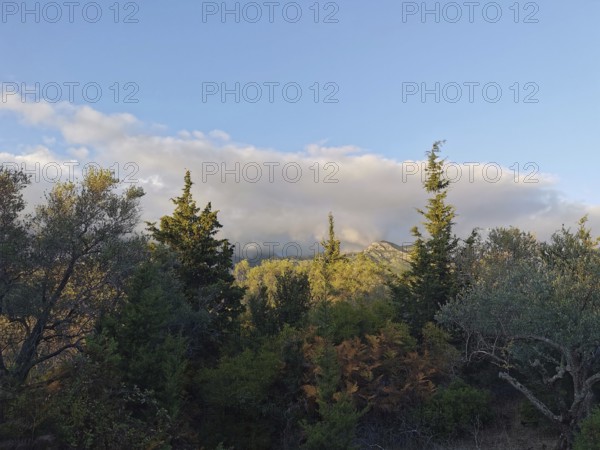 A forest with various trees in front of a sky with clouds and shimmers of light, Albanian Alps National Park